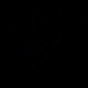 Meet your Posher, Travis